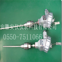 防爆熱電阻1