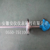 耐腐蝕熱電阻1