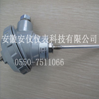 衛(wèi)生防腐蝕熱電阻
