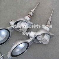 一體化溫度變送器熱電阻