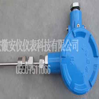 防爆熱電偶